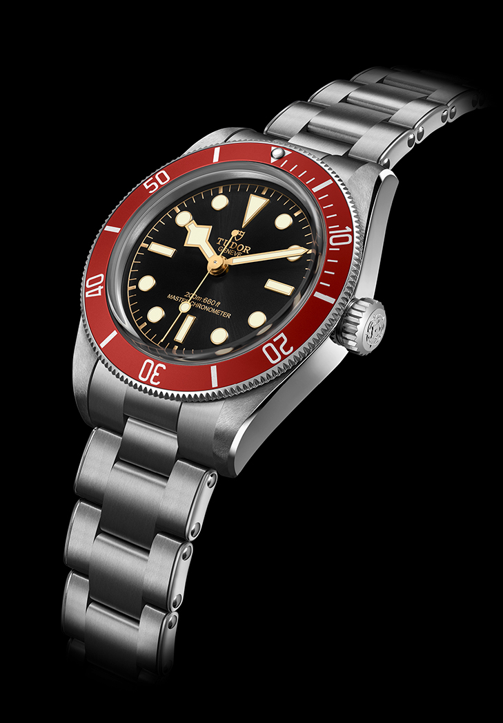 Tudor Black Bay
