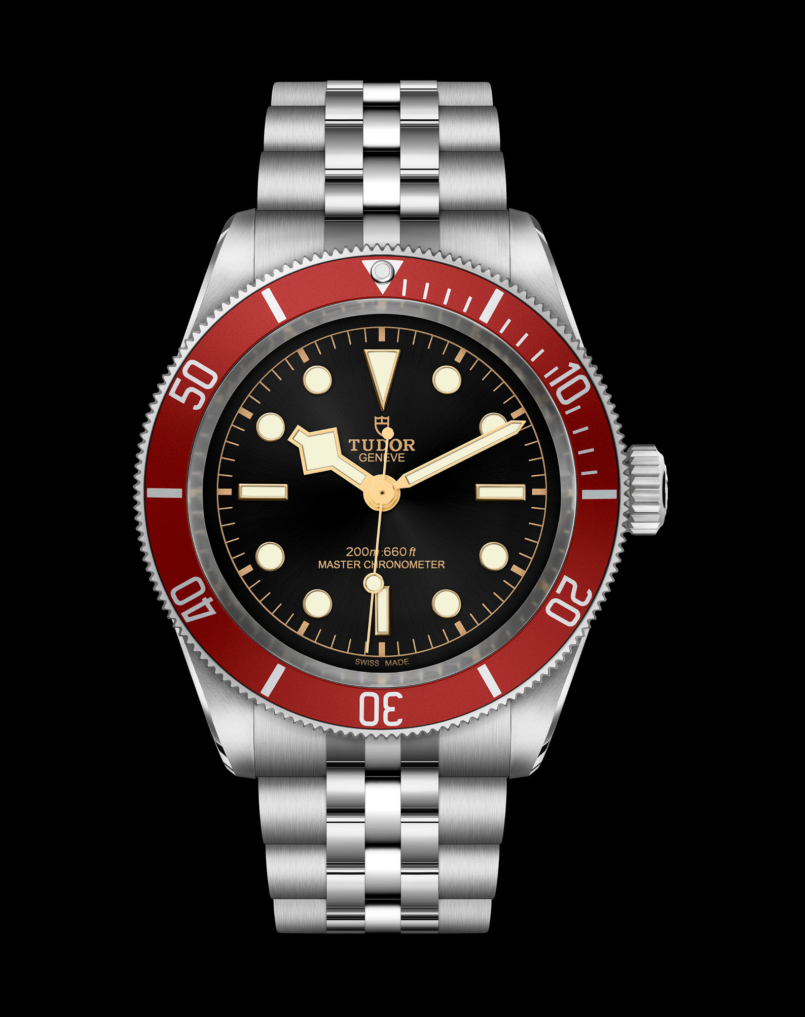 Tudor Black Bay