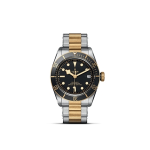 TUDOR Black Bay S&G thumb 1