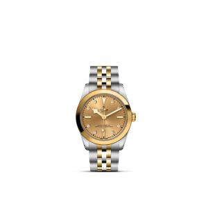 TUDOR Black Bay 31 S&G thumb 1