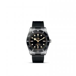 TUDOR Black Bay 54 thumb 1