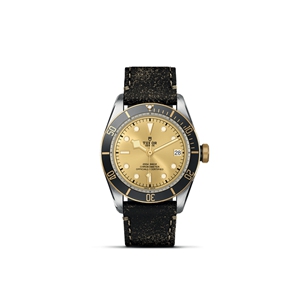 TUDOR Black Bay S&G thumb 1