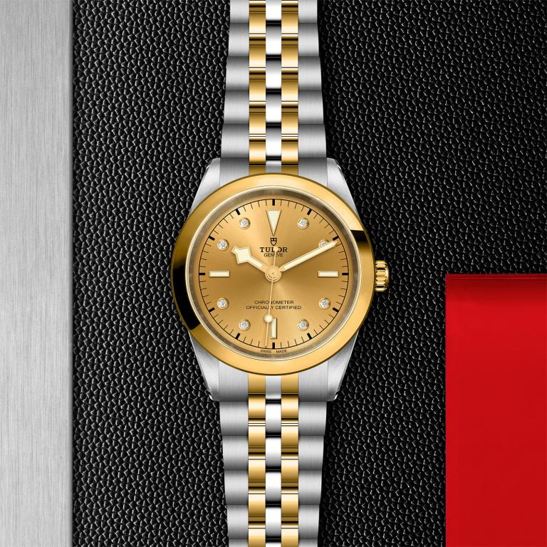 TUDOR Black Bay 41 S&G slide 1