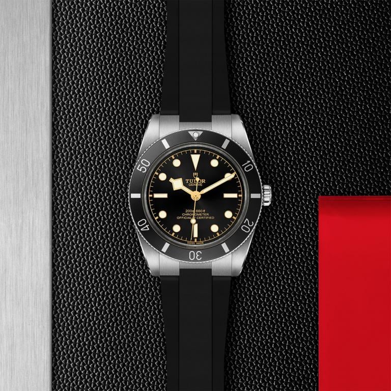 TUDOR Black Bay 54 slide 1