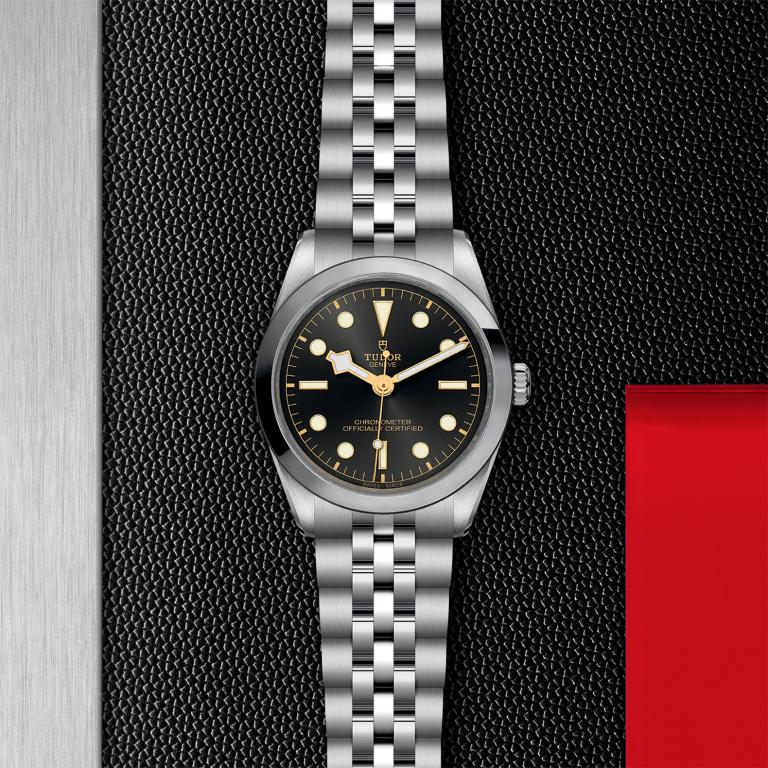 TUDOR Black Bay 36 slide 1