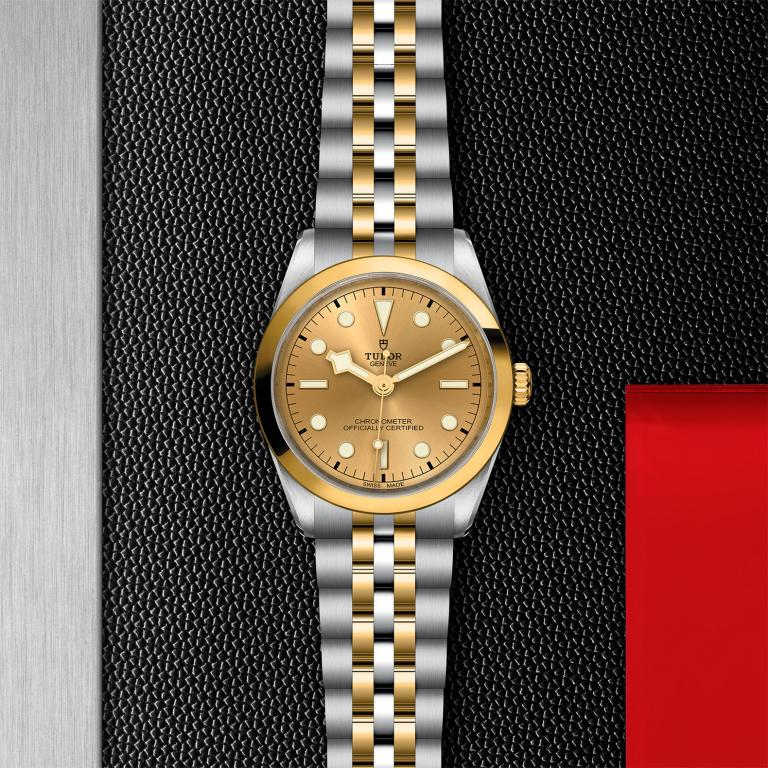 TUDOR Black Bay 36 S&G slide 1