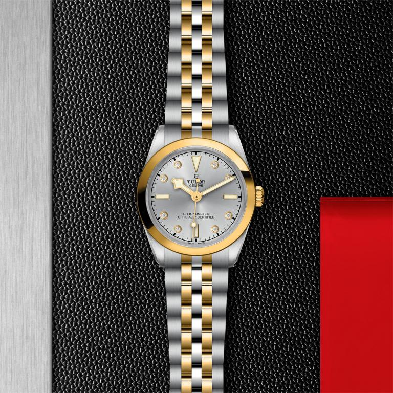TUDOR Black Bay 31 S&G slide 1