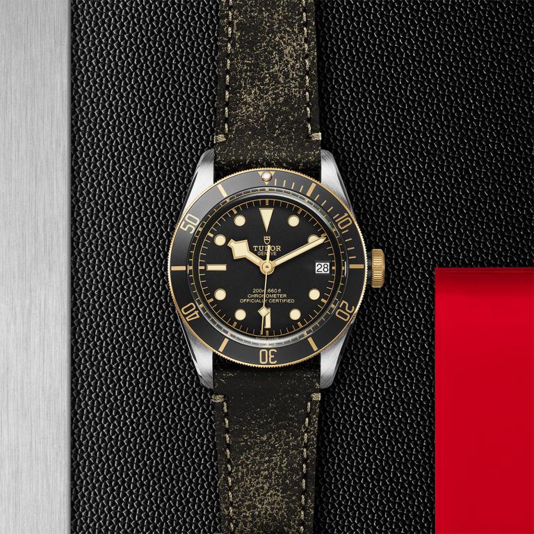 TUDOR Black Bay S&G slide 1