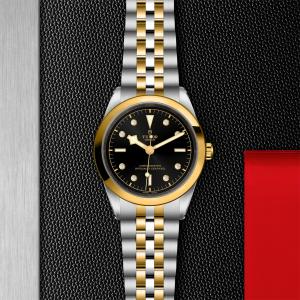 TUDOR Black Bay 41 S&G thumb 1