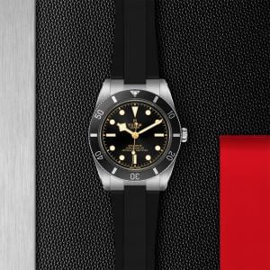 TUDOR Black Bay 54 thumb 1