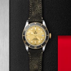 TUDOR Black Bay S&G thumb 1