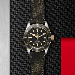 TUDOR Black Bay S&G thumb 1