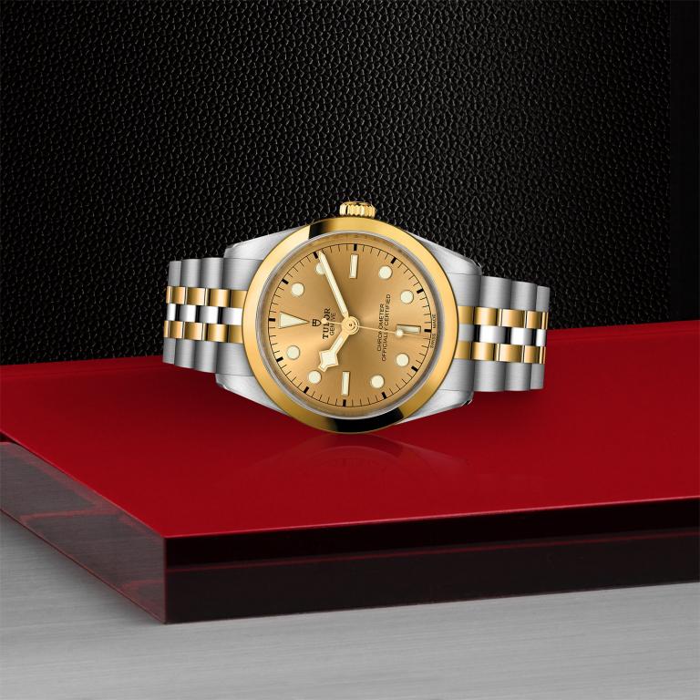 TUDOR Black Bay 36 S&G slide 1