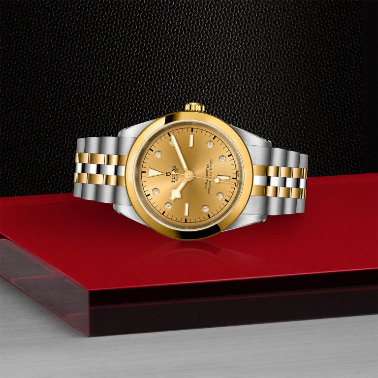 TUDOR Black Bay 41 S&G slide 1