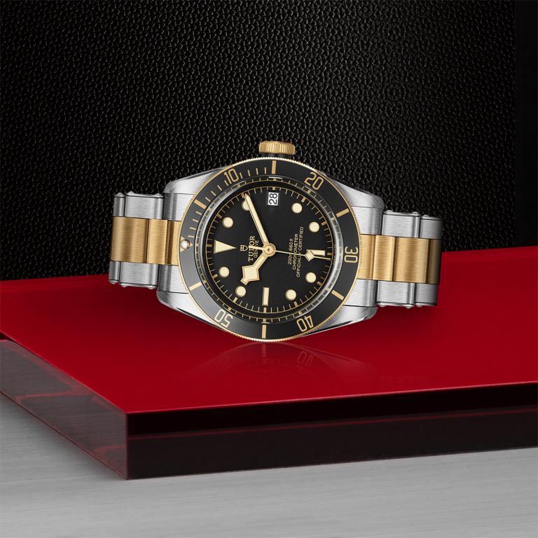 TUDOR Black Bay S&G slide 1