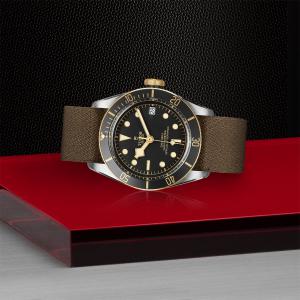 TUDOR Black Bay S&G thumb 1