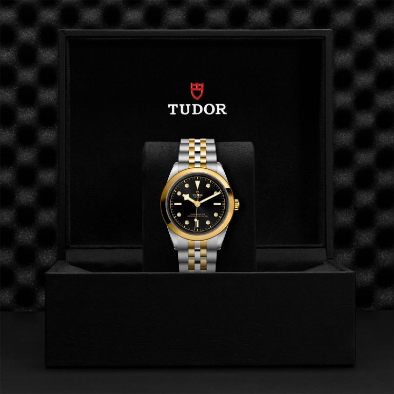 TUDOR Black Bay 41 S&G slide 1