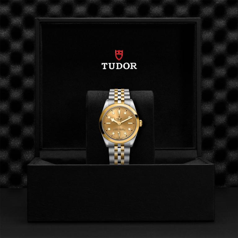 TUDOR Black Bay 36 S&G slide 1