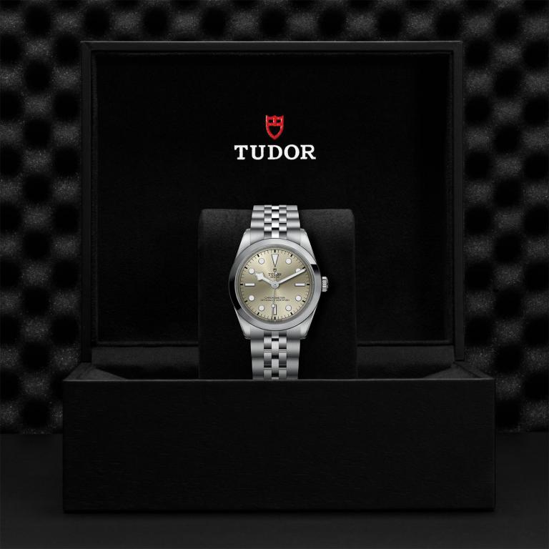 TUDOR Black Bay 36 slide 1