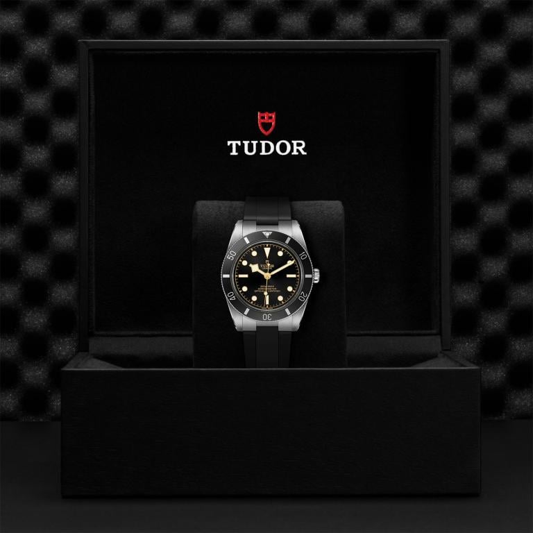 TUDOR Black Bay 54 slide 1