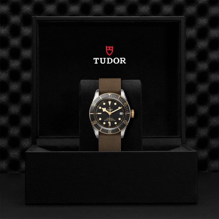 TUDOR Black Bay S&G slide 1