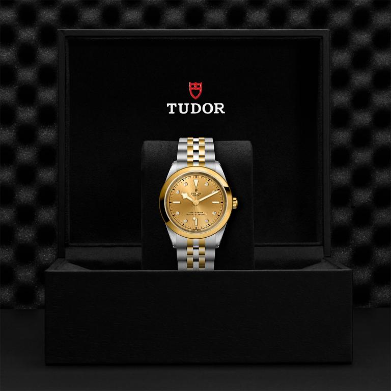 TUDOR Black Bay 41 S&G slide 1