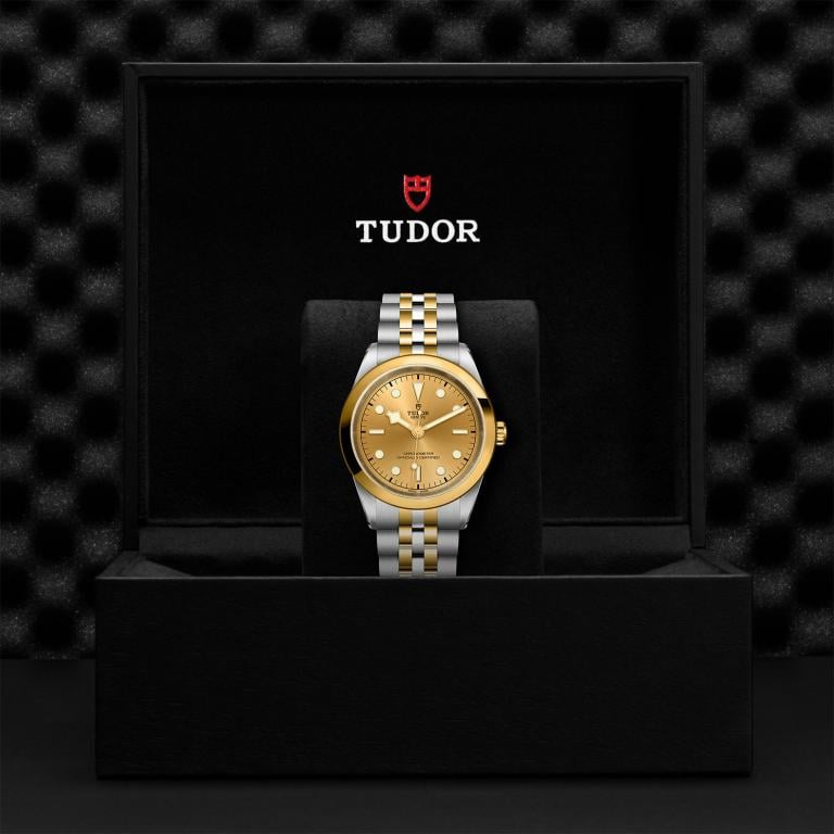 TUDOR Black Bay 41 S&G slide 1