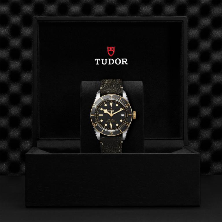 TUDOR Black Bay S&G slide 1