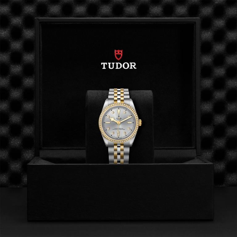 TUDOR Black Bay 36 S&G slide 1