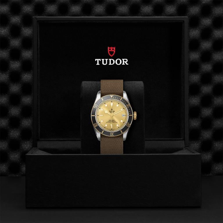 TUDOR Black Bay S&G slide 1