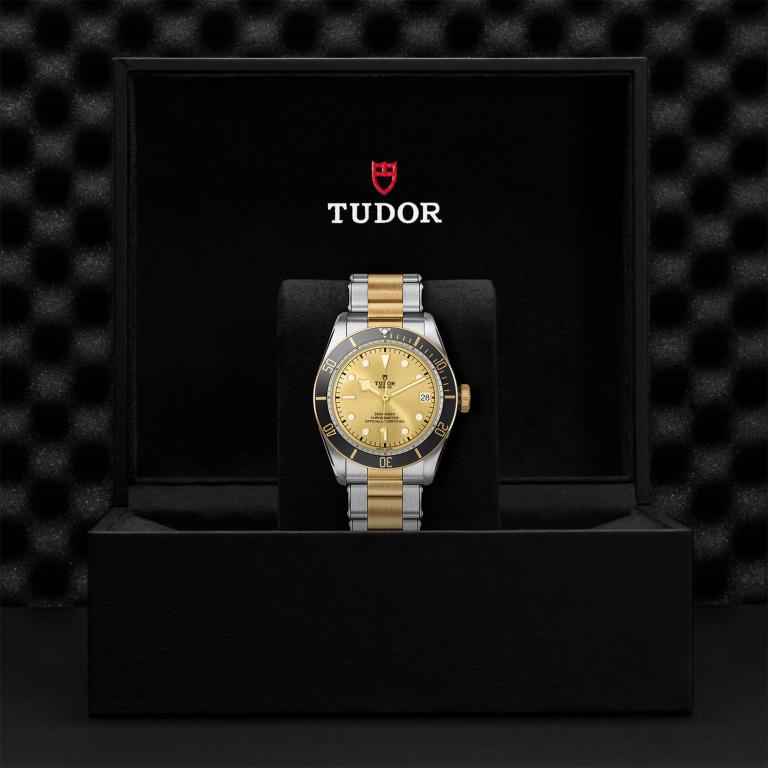 TUDOR Black Bay S&G slide 1