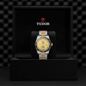 TUDOR Black Bay S&G thumb 1