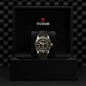TUDOR Black Bay S&G thumb 1