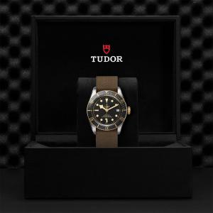 TUDOR Black Bay S&G thumb 1