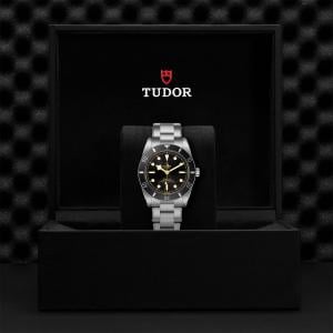 TUDOR Black Bay 54 thumb 1