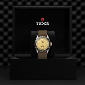 TUDOR Black Bay S&G thumb 1