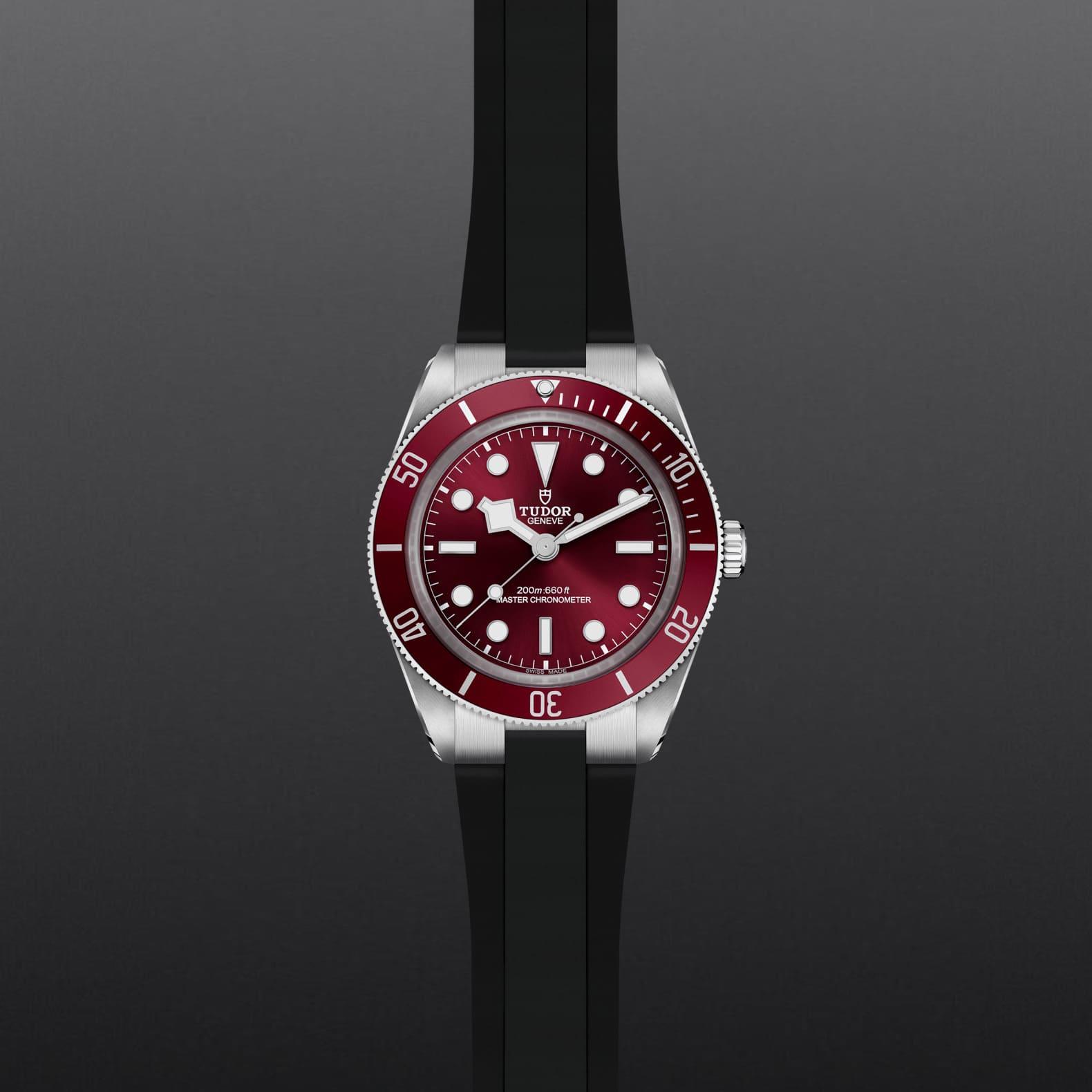 Black Bay 58