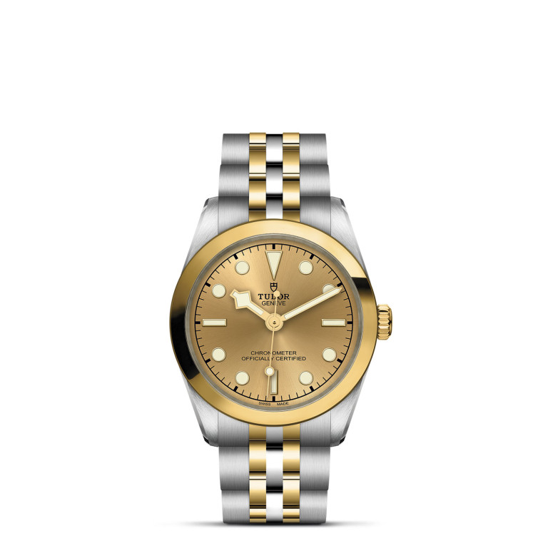 TUDOR Black Bay 31 S&G slide 1