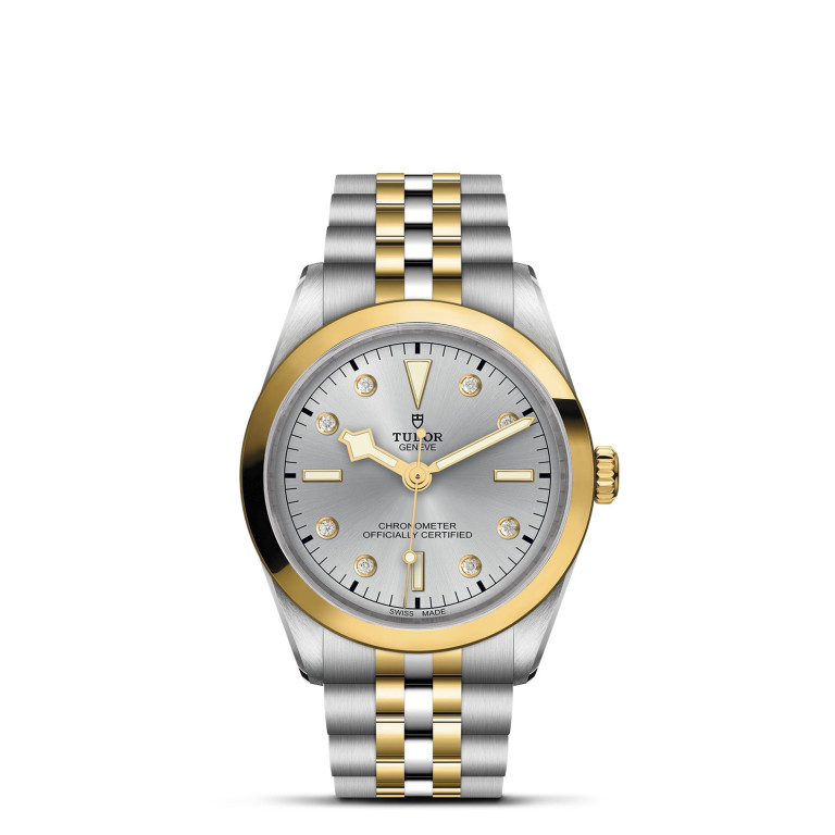 TUDOR Black Bay 36 S&G slide 1