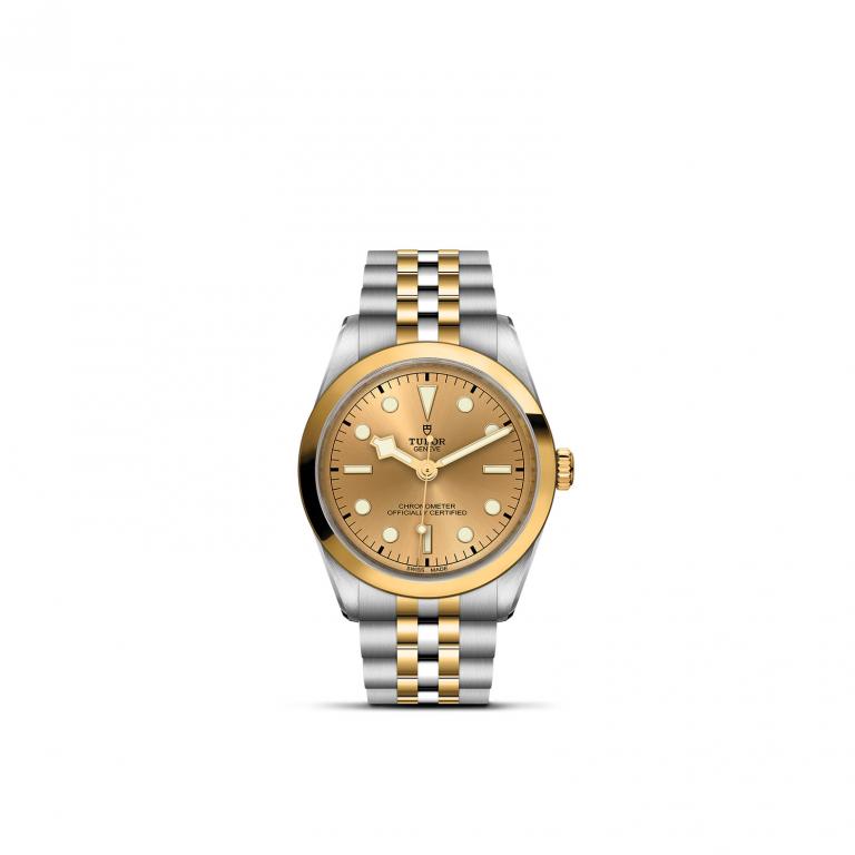 TUDOR Black Bay 36 S&G slide 1