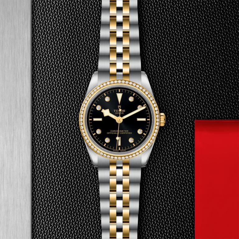 TUDOR Black Bay 36 S&G slide 1