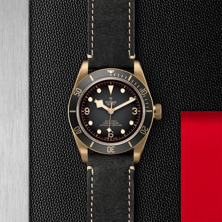 TUDOR Black Bay Bronze slide 1
