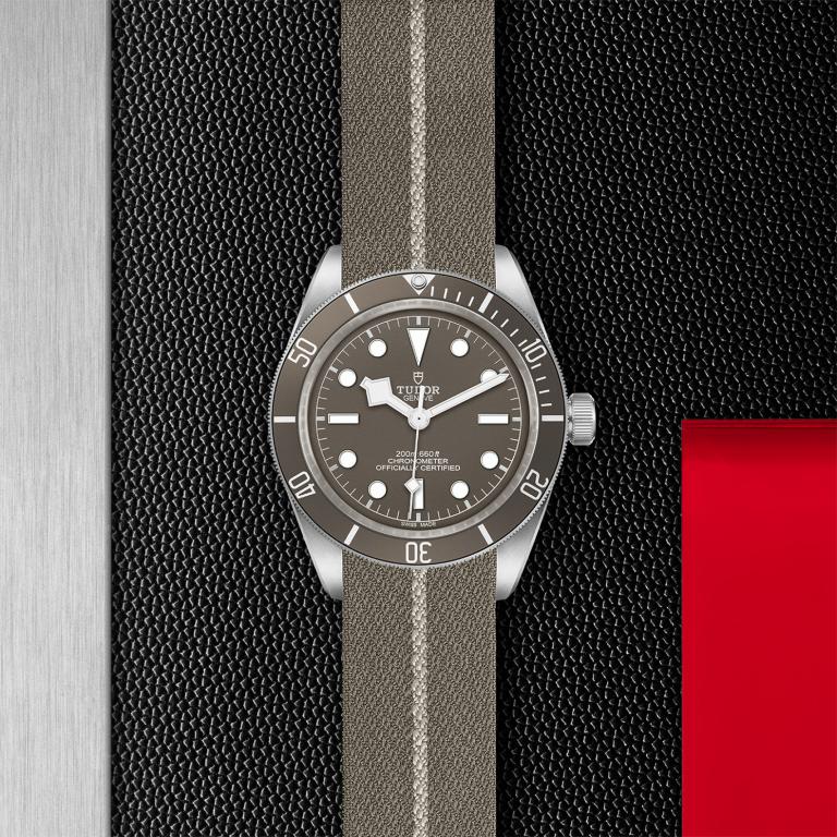 TUDOR Black Bay 58 925 slide 1