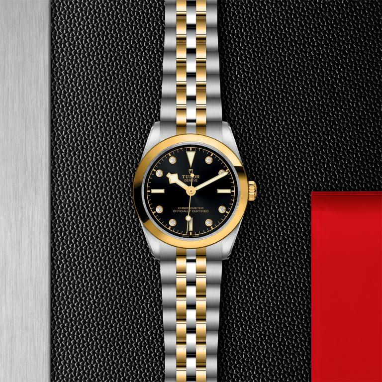 TUDOR Black Bay 31 S&G slide 1