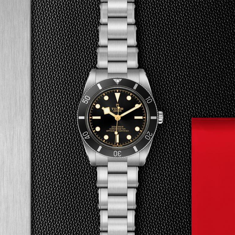TUDOR Black Bay 54 slide 1