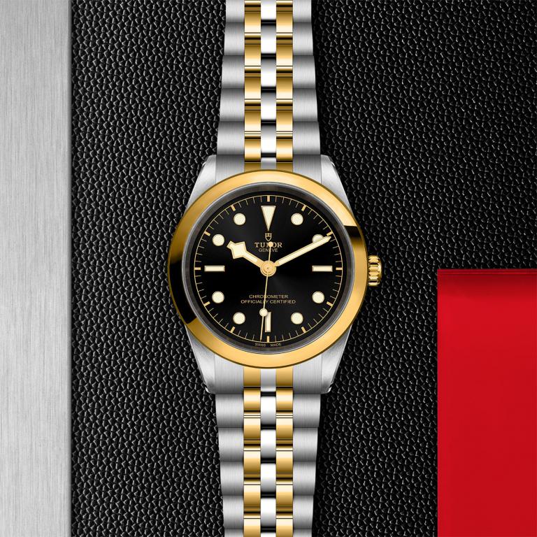 TUDOR Black Bay 41 S&G slide 1