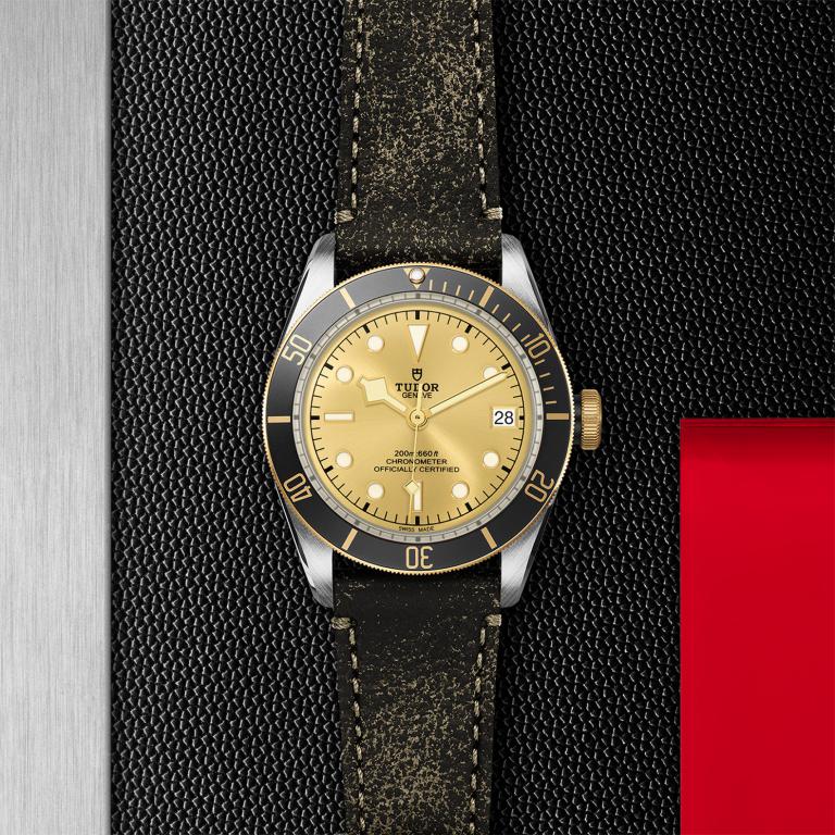 TUDOR Black Bay S&G slide 1