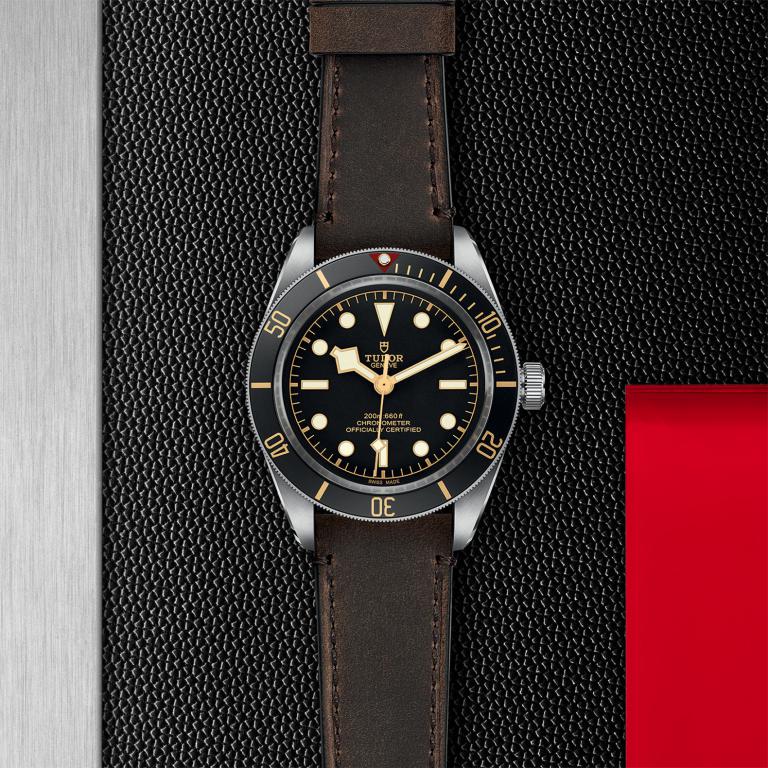 TUDOR Black Bay 58 slide 1