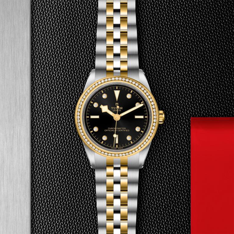 TUDOR Black Bay 39 S&G slide 1