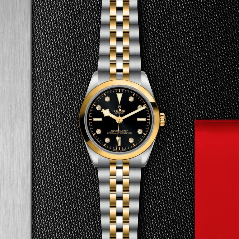 TUDOR Black Bay 36 S&G slide 1